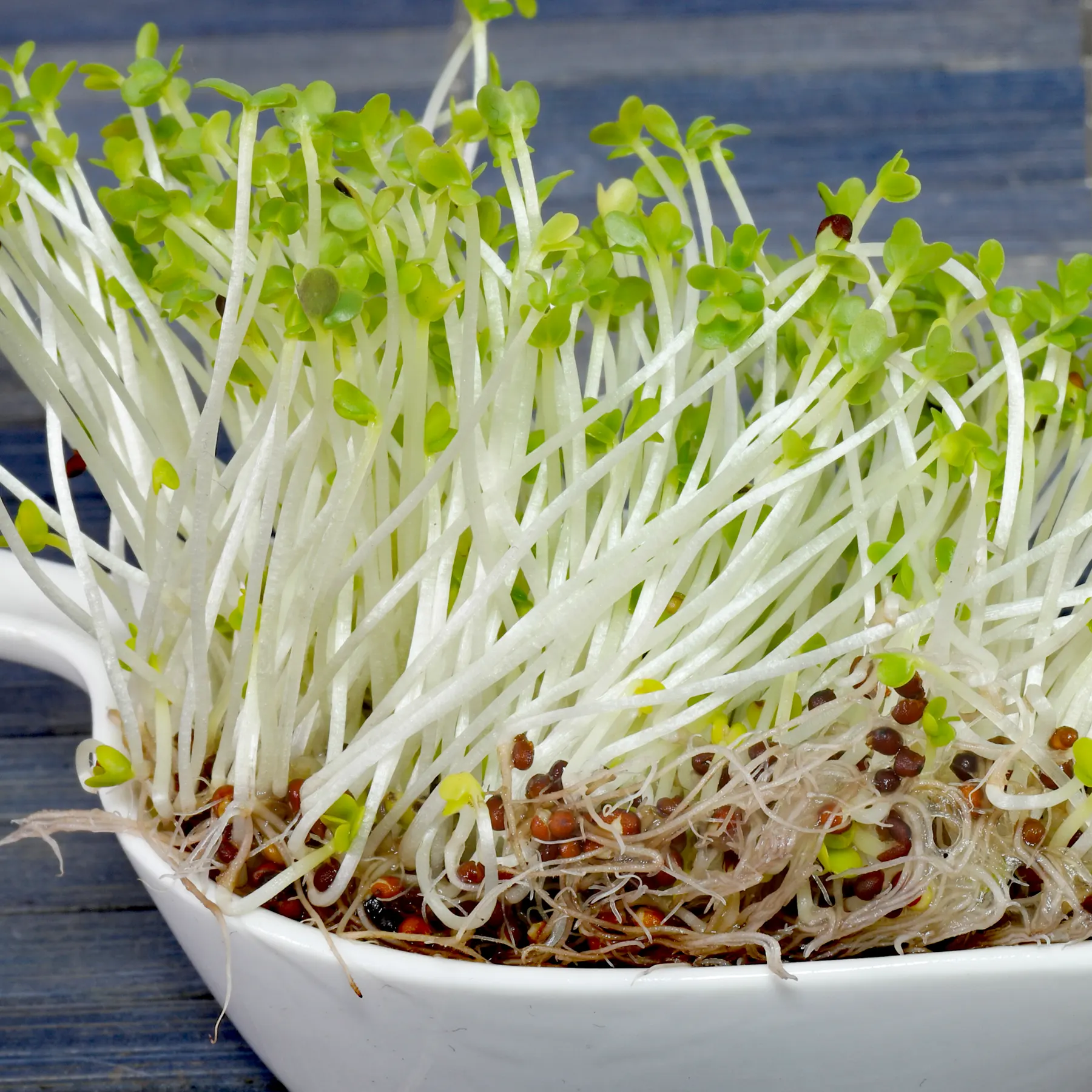 Microgreens from rapeseed