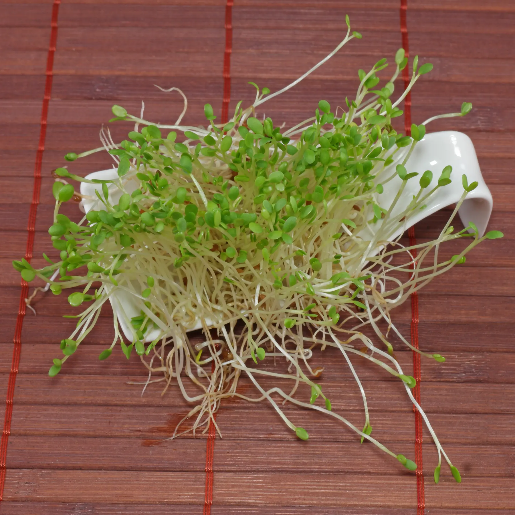microgreen from Red Clover