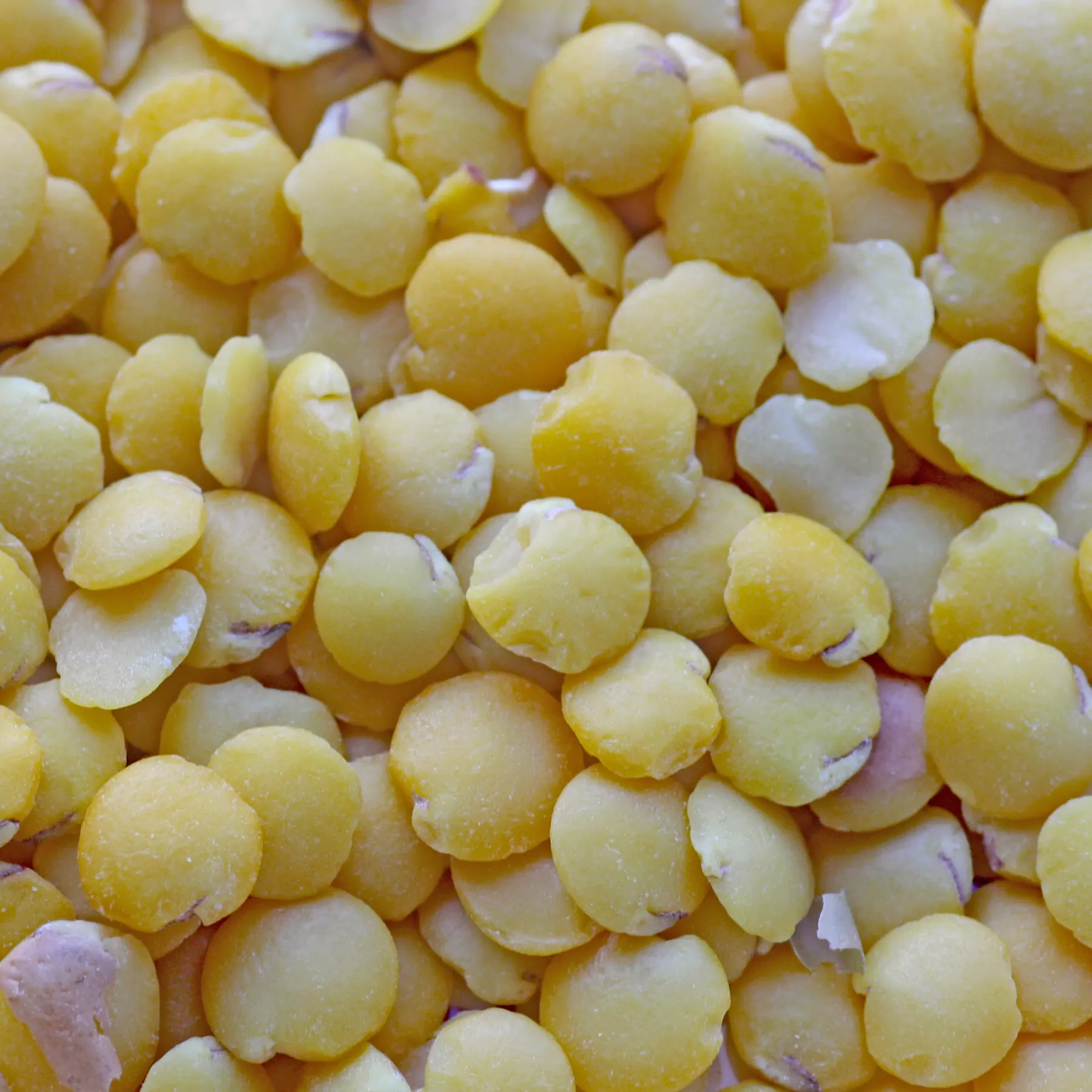 peeled lentils