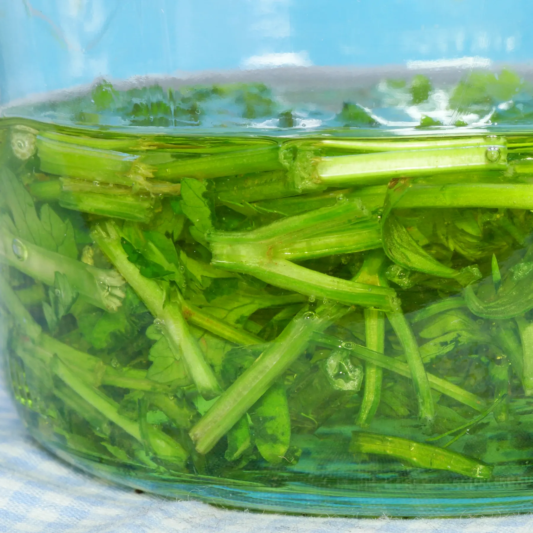 Herb oil from parsley stems