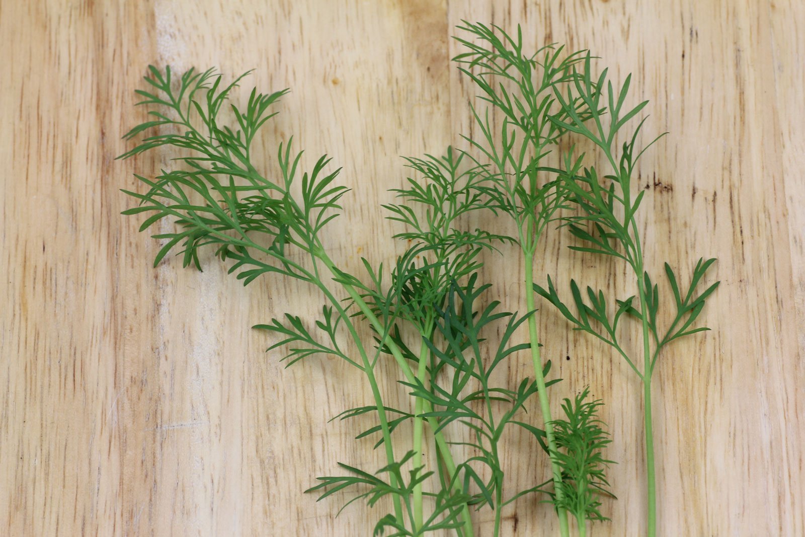 Dill
