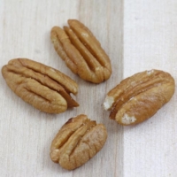Carya illinoinensis