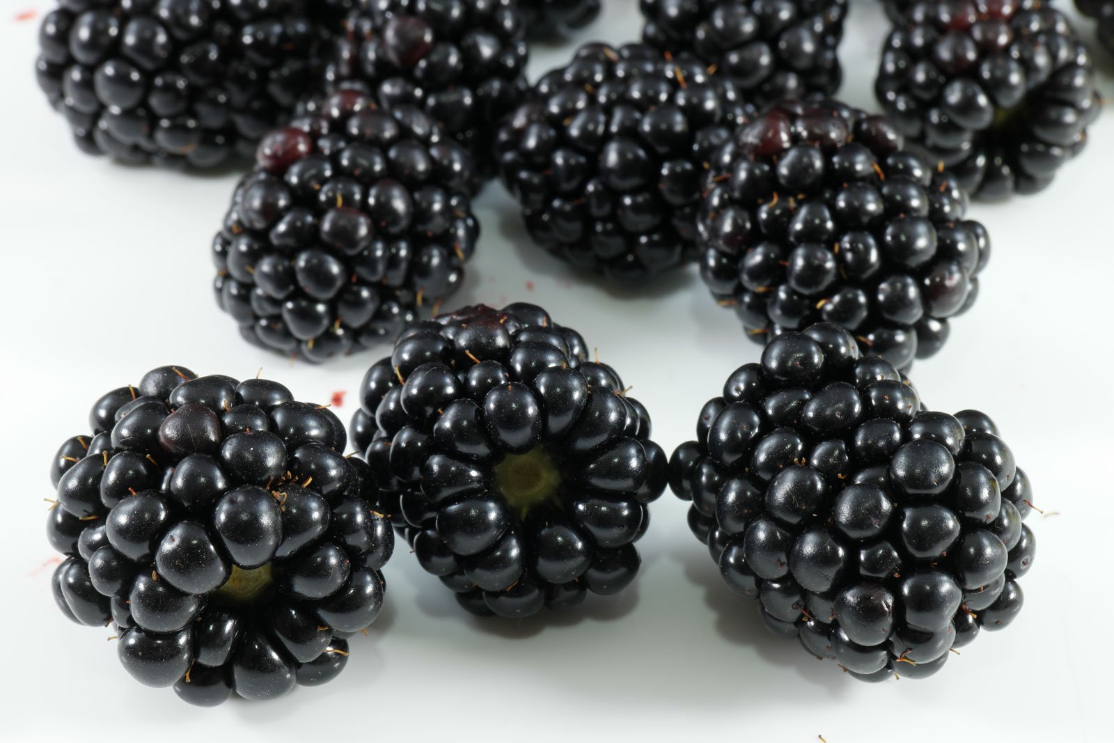 Blackberries