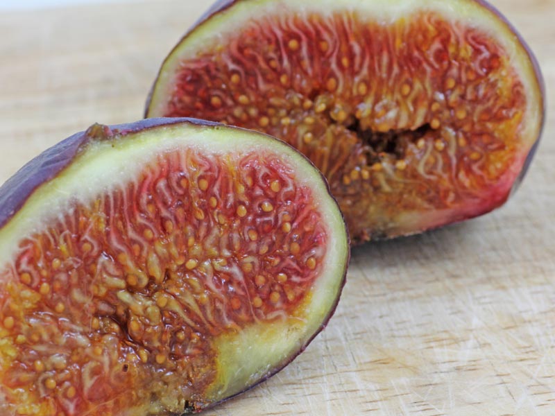 cutted Fig
