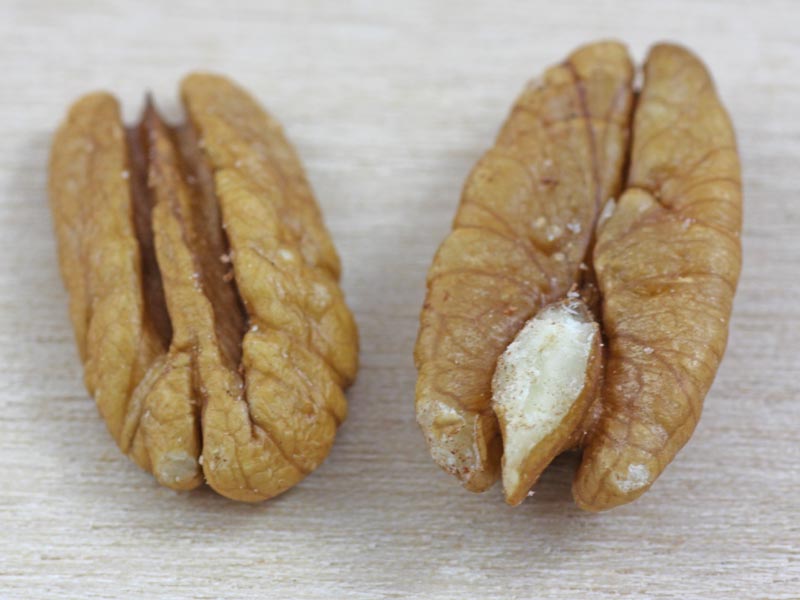 Pecan Nut