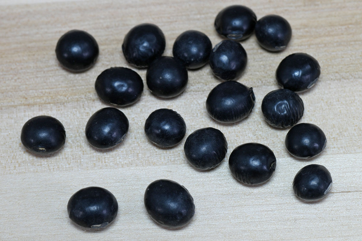 black Soybeans