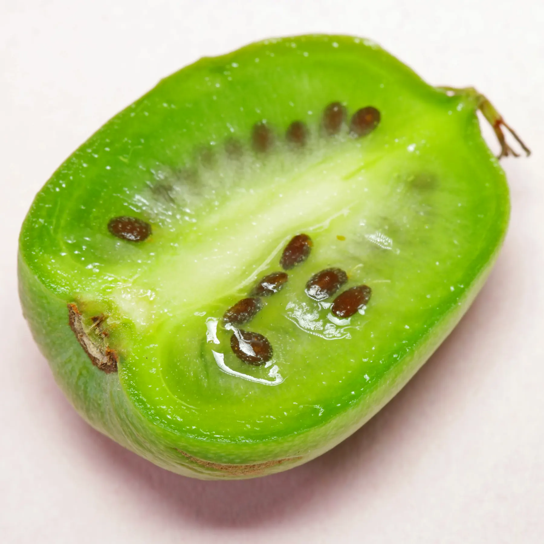 Hardy Kiwifruit