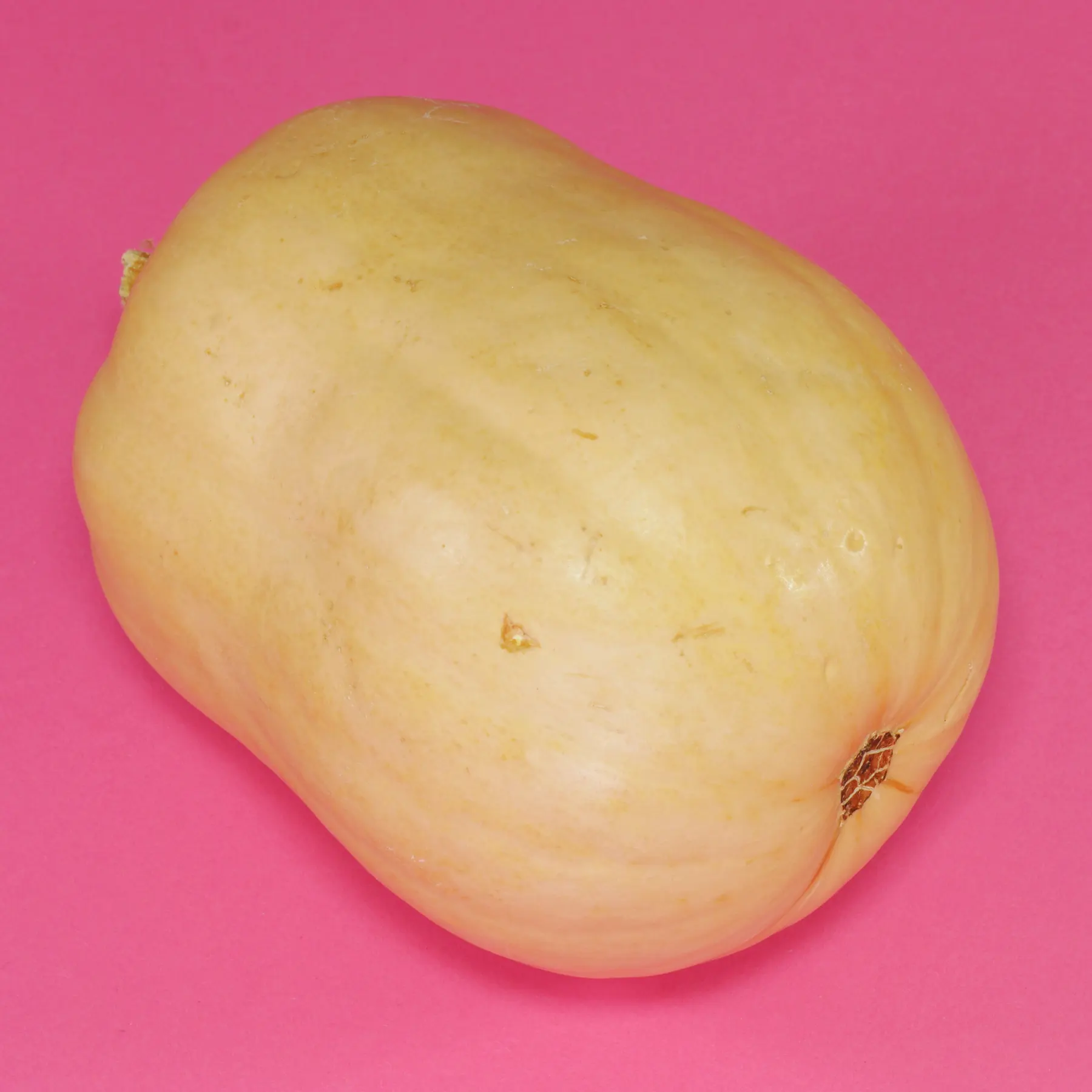 Butternutsquash