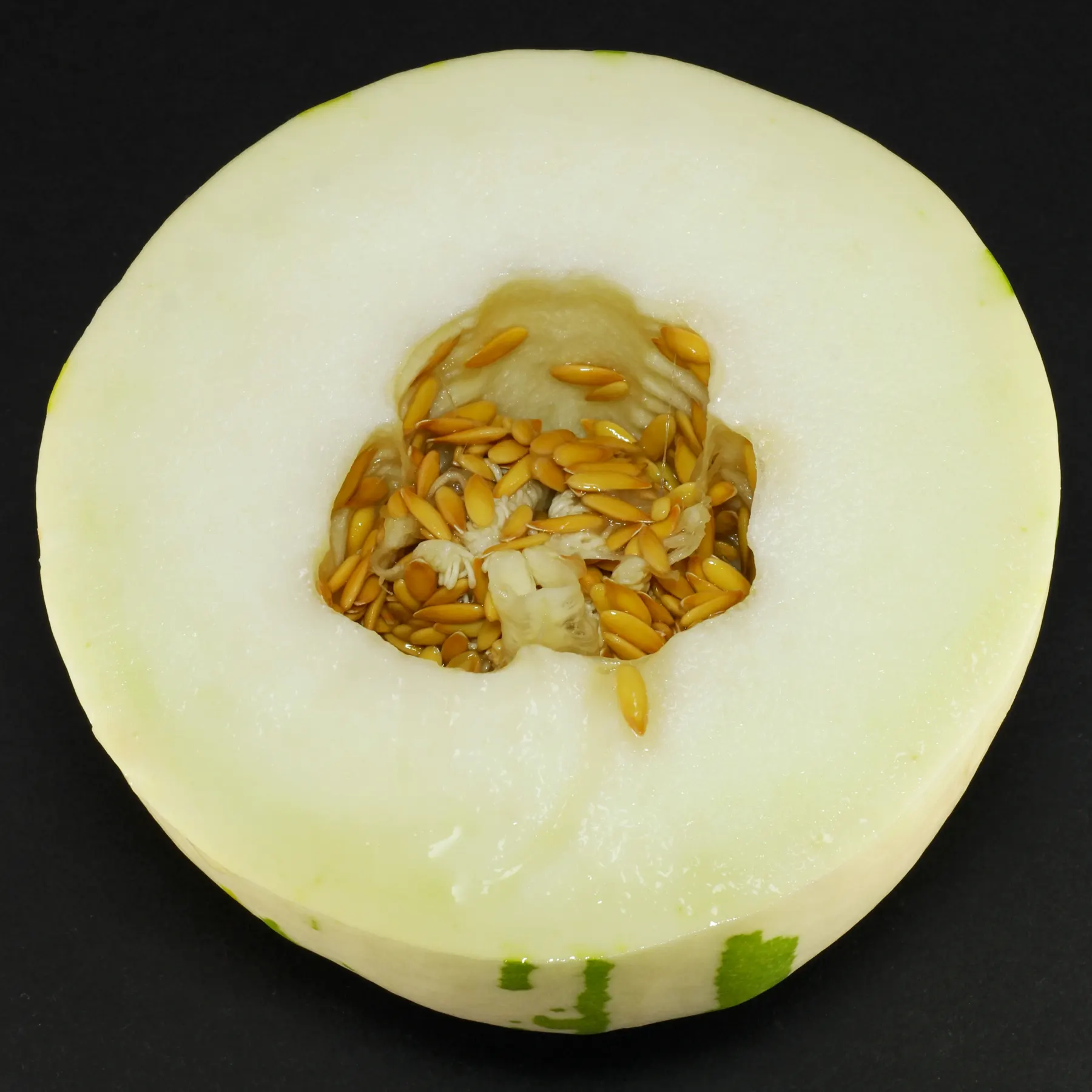 Snowball Melon