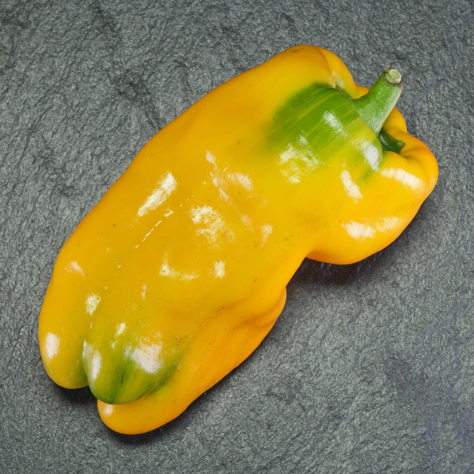 Bell pepper Candy Cane