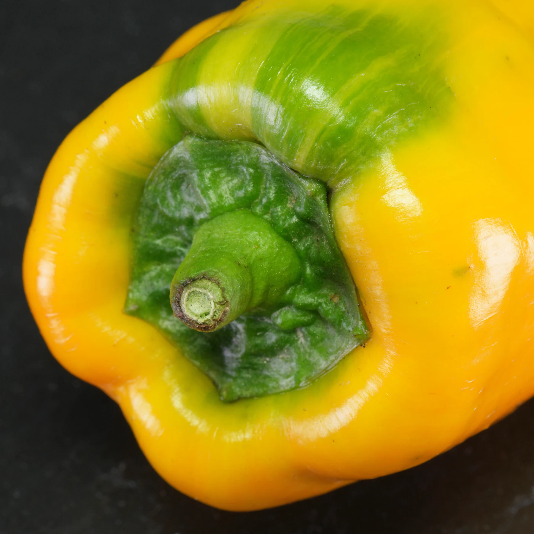 Bell pepper stalk