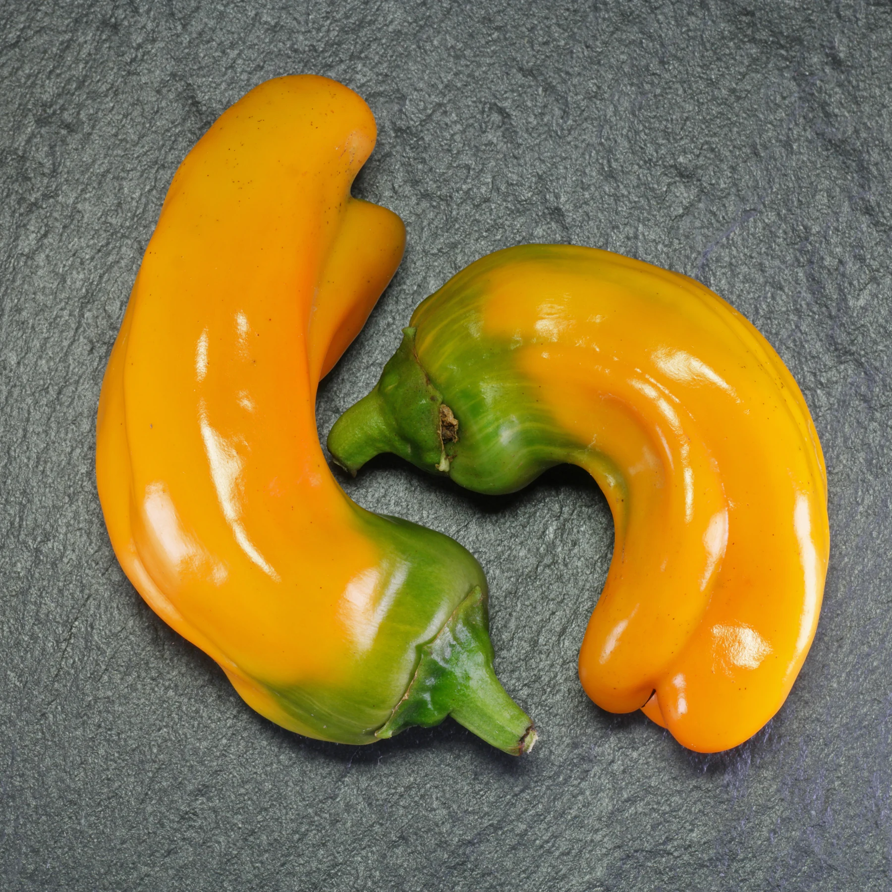 Candy Cane bell peppers